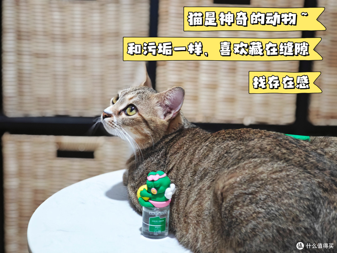 上班牛马冲业绩别忽略口腔问题,不然签不下合同,月底只能吃谷种