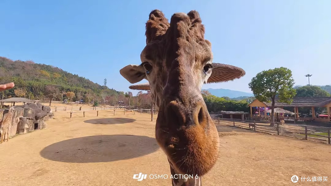 大疆Osmo Action 6陪走山河，轻装随手出片不操心