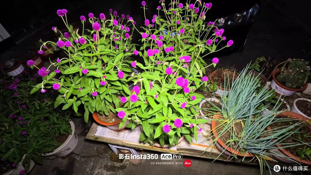 Insta360 Ace Pro陪我走山路夜市都稳