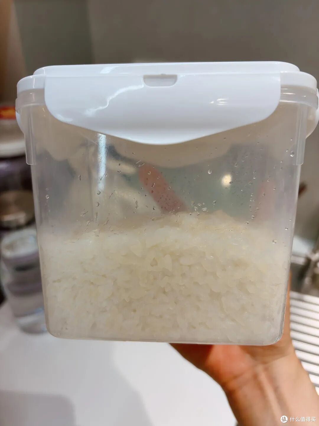 第一次被「酸奶盒子」圈粉了!果然,商家最懂用户需求了