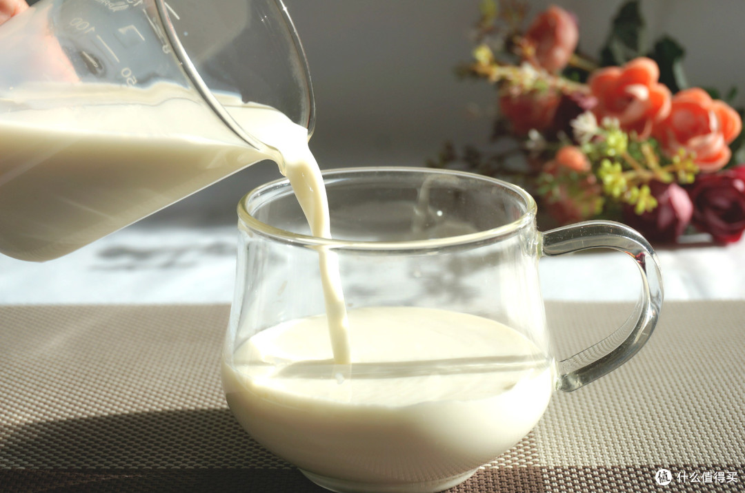把早餐桌上的牛奶换成驼乳粉后有什么变化