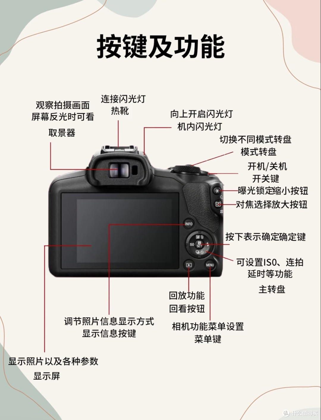 佳能R100搭配永诺镜头实测