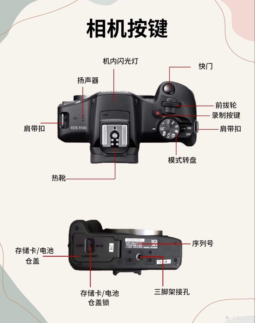 佳能R100搭配永诺镜头实测
