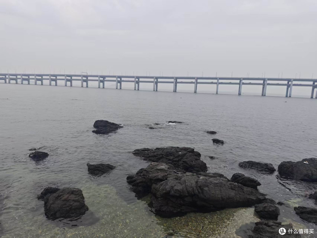 大连2日慢游|西线看巨鲸,东线走山海,不赶路的看海之旅