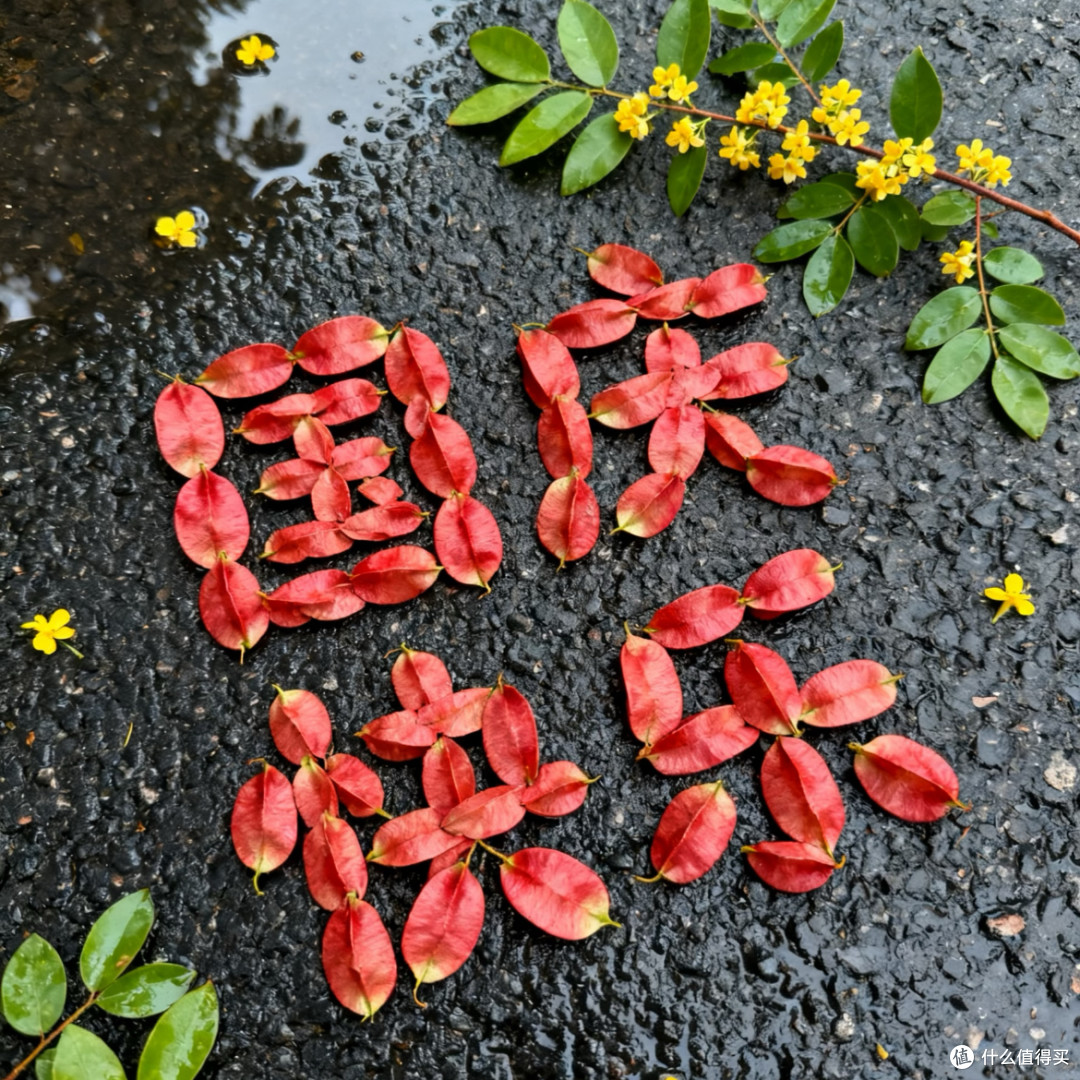 句句不提国庆，句句都是国庆，分享16个国庆祝福语，拿走不谢