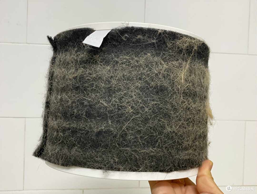 猫咪换毛季咳嗽嗓子痒，希喂FreAirLite宠物空气净化器吸毛初体验