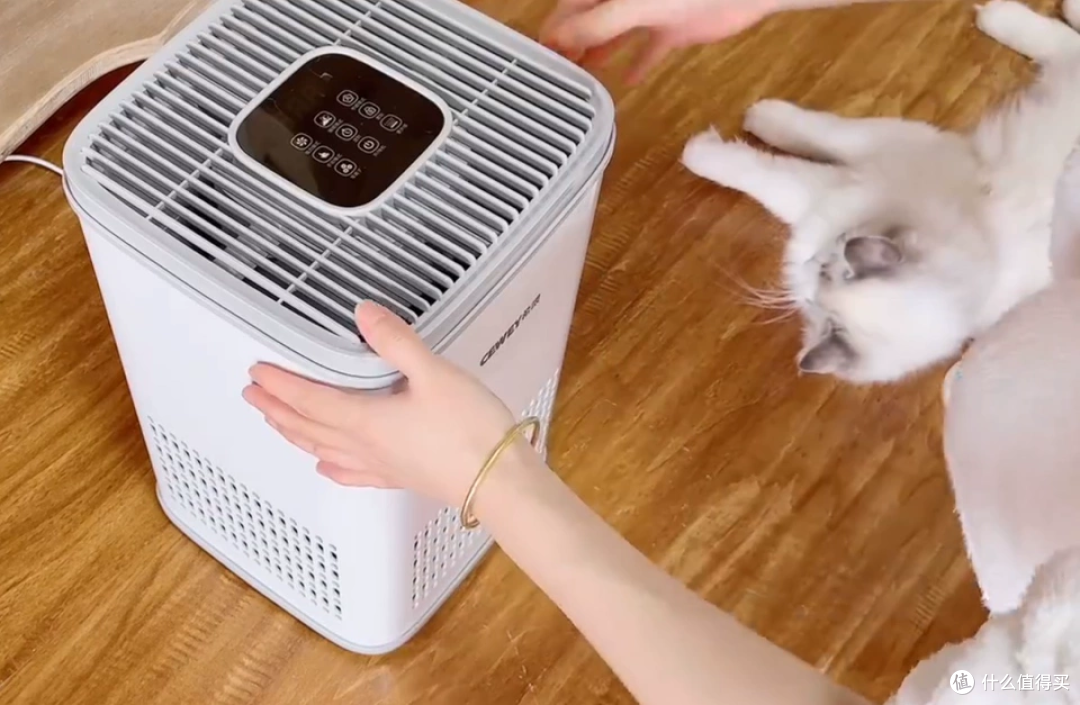 猫咪换毛季咳嗽嗓子痒，希喂FreAirLite宠物空气净化器吸毛初体验