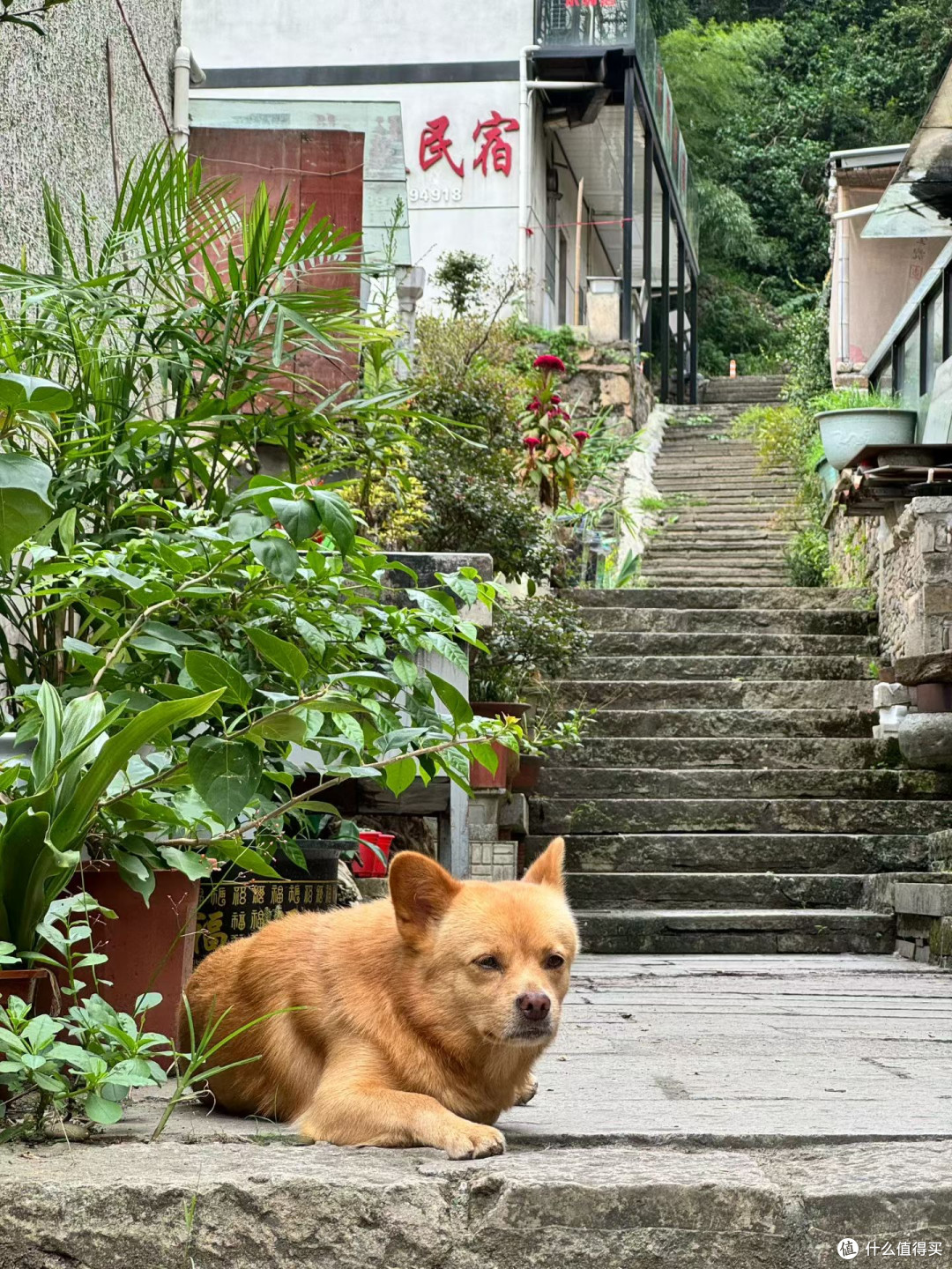 深奥古村