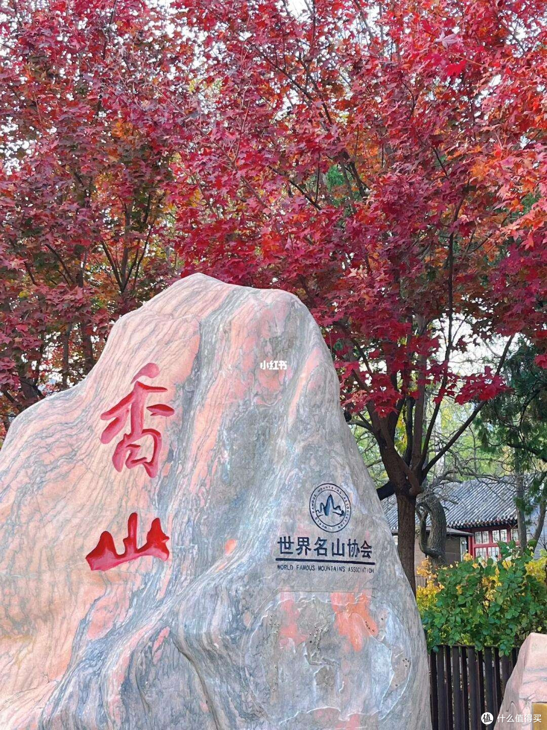 国庆香山登高赏秋景