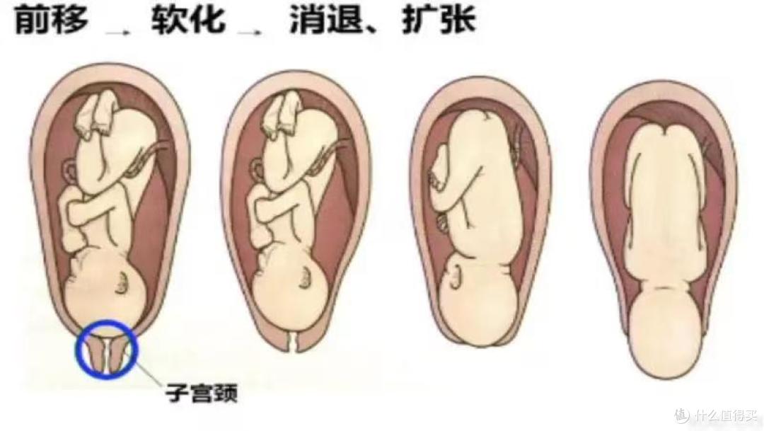 48岁妈妈15分钟超快顺产，生娃快或慢，别光看年龄，这些才重要