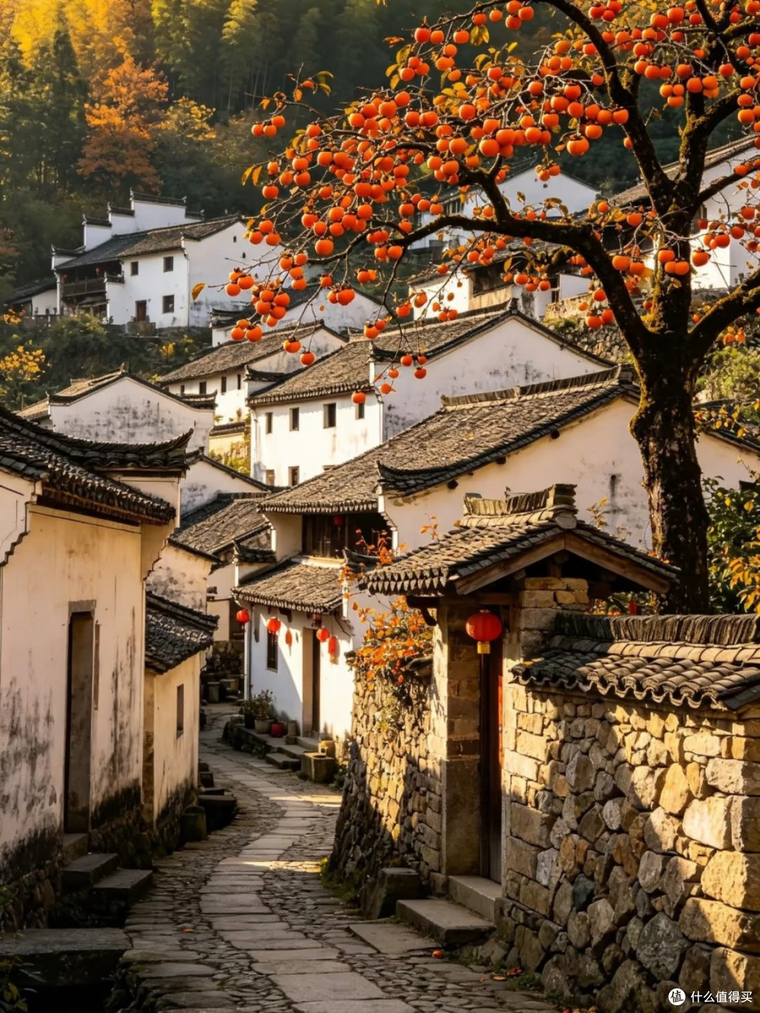 宁波四明山|国庆赏秋天花板,2天1晚闯入秋日秘境