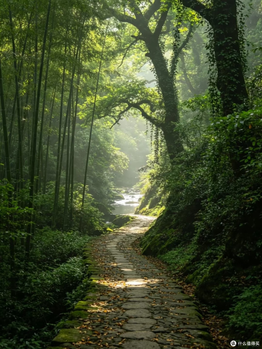 宁波四明山|国庆赏秋天花板,2天1晚闯入秋日秘境