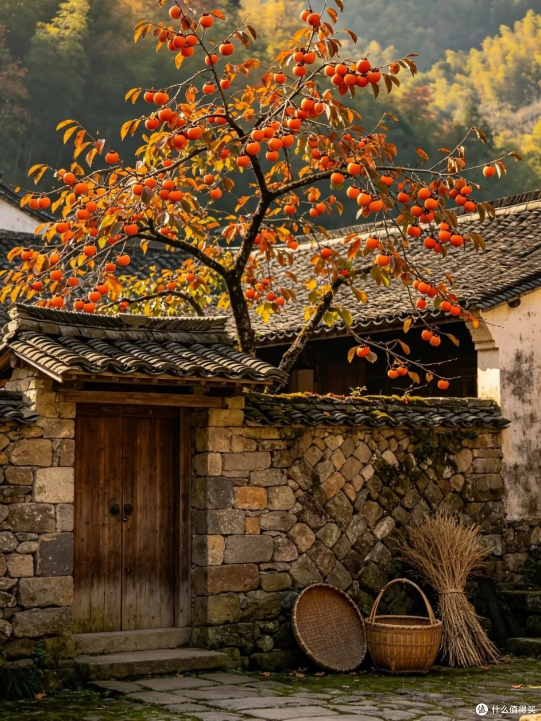 宁波四明山|国庆赏秋天花板,2天1晚闯入秋日秘境