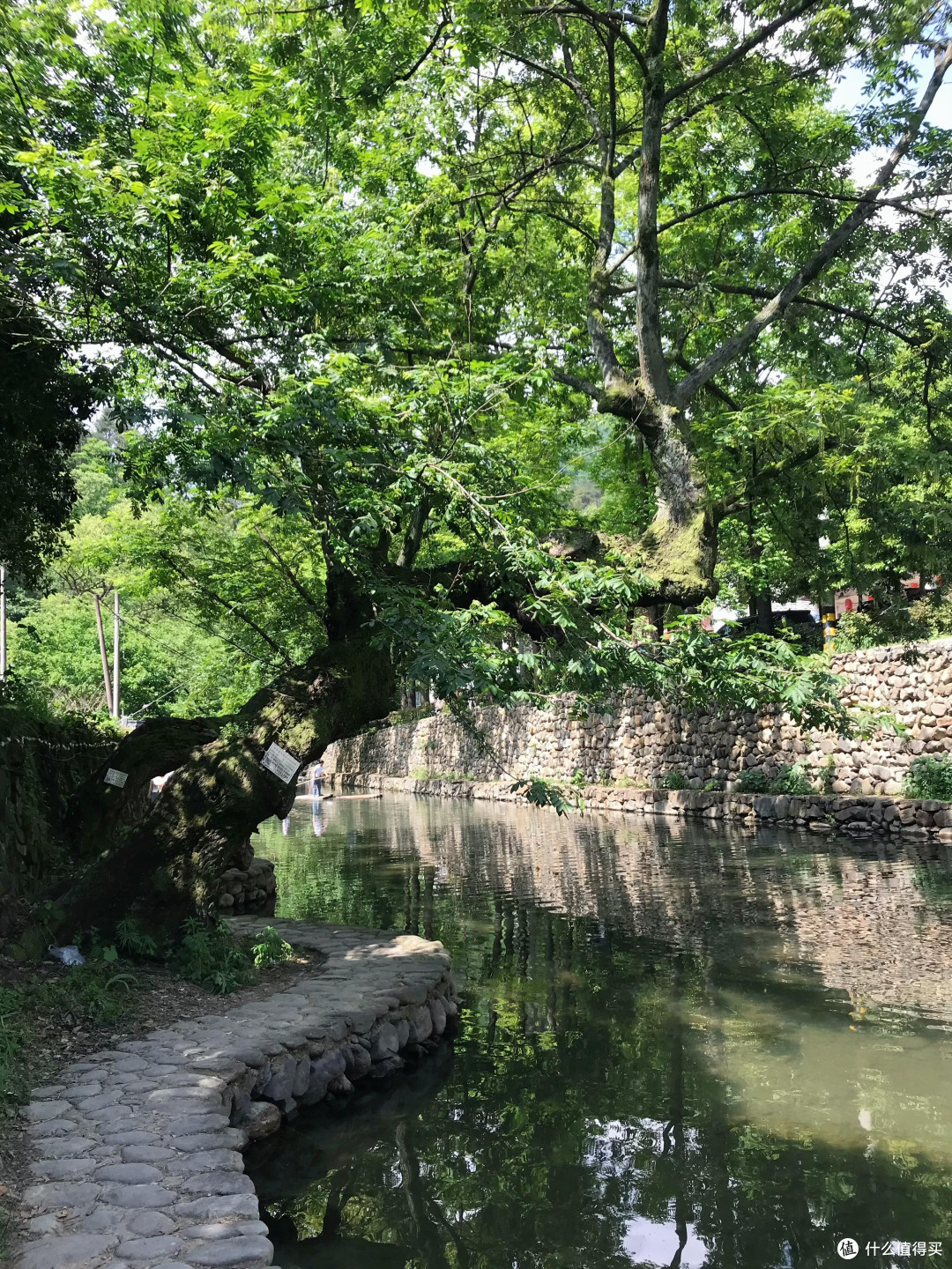 城市一小时圈微度假路线勘测