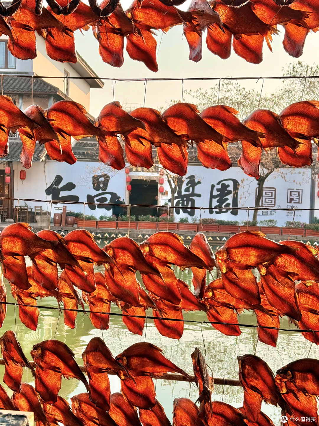 城市一小时圈微度假路线勘察报告
