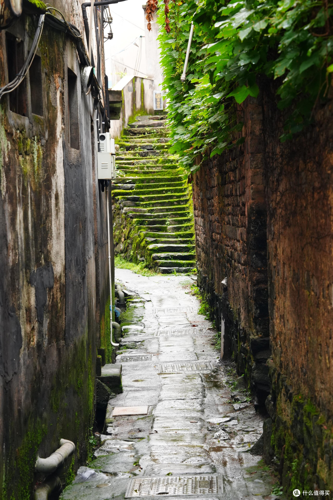 城市一小时圈微度假路线勘测