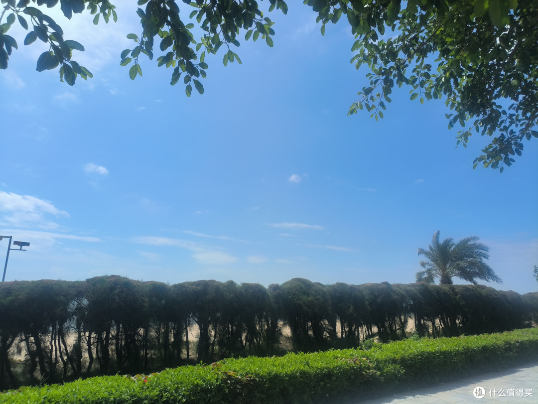 双节漫游厦门|环岛路才是治愈假期天花板🌊