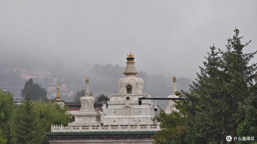 西北行②西宁初见|塔尔寺红墙金顶,藏博院唐卡迷宫