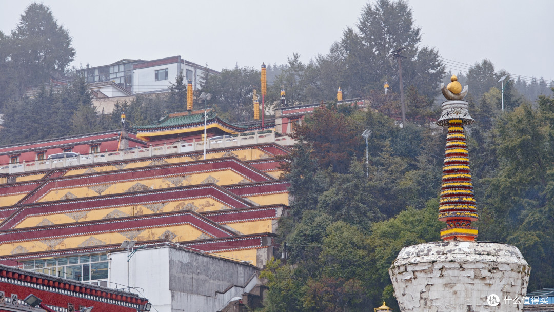 西北行②西宁初见|塔尔寺红墙金顶,藏博院唐卡迷宫