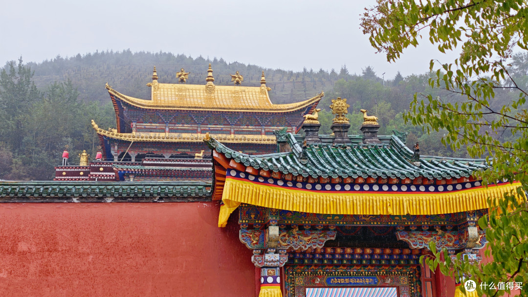 西北行②西宁初见|塔尔寺红墙金顶,藏博院唐卡迷宫