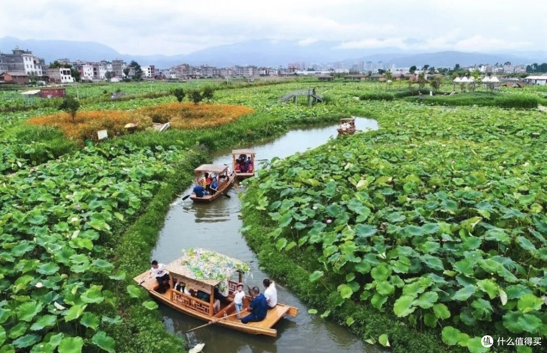从抚仙湖到墨江的静谧之旅