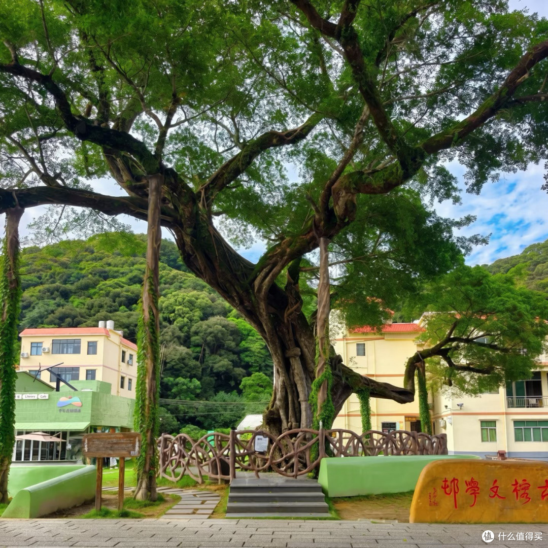 惠州218公路串联罗浮南昆