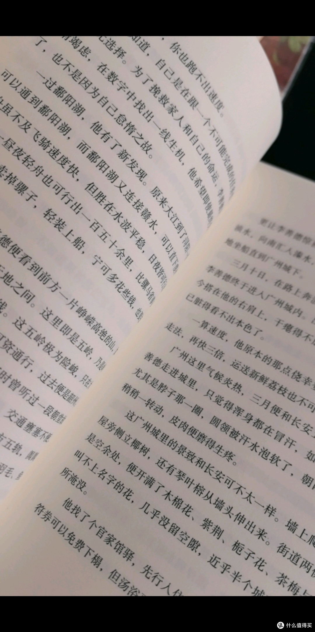 从荔枝运送看小人物坚守