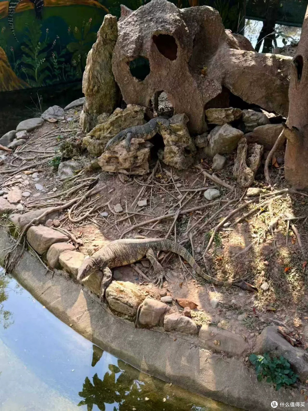 如何规划高性价比的假期行程