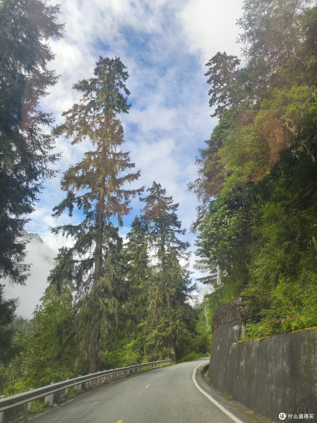穿嘎隆拉隧道，我一头撞进了墨脱的盛夏