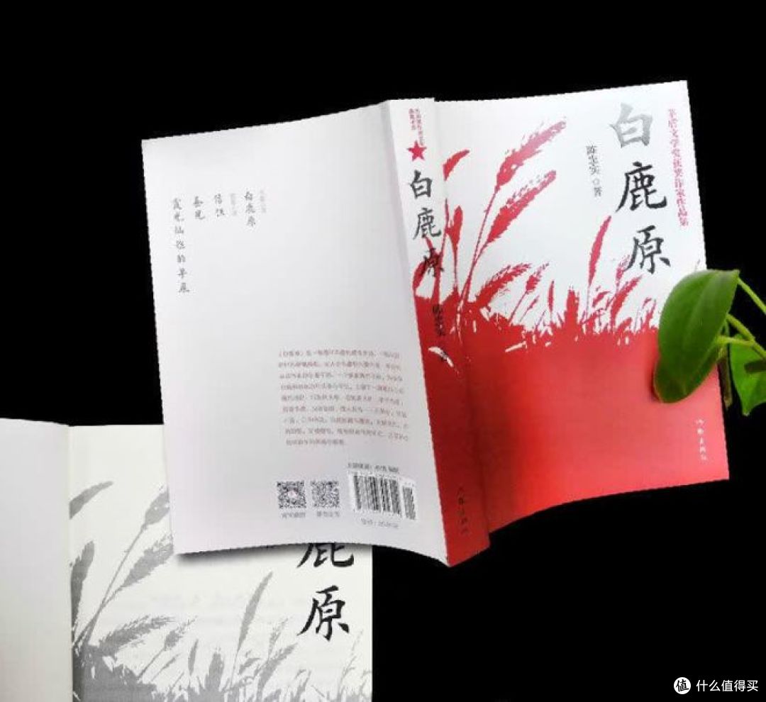 读《白鹿原》有感