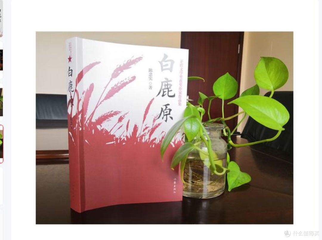 读《白鹿原》有感