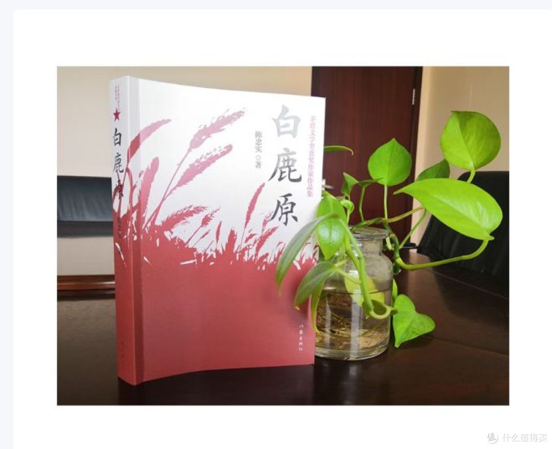 读《白鹿原》有感