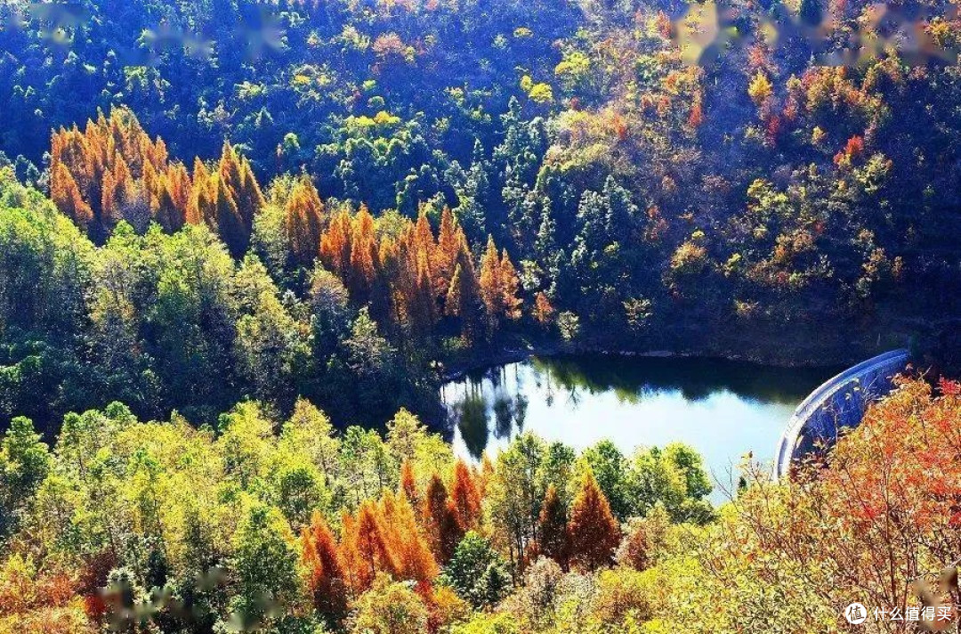 信阳郭家河湿地露营指南