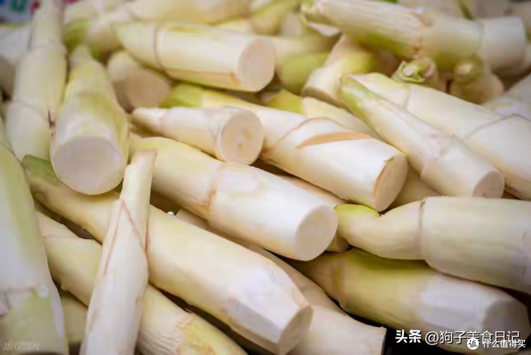 论茭白的时令特性与食用期