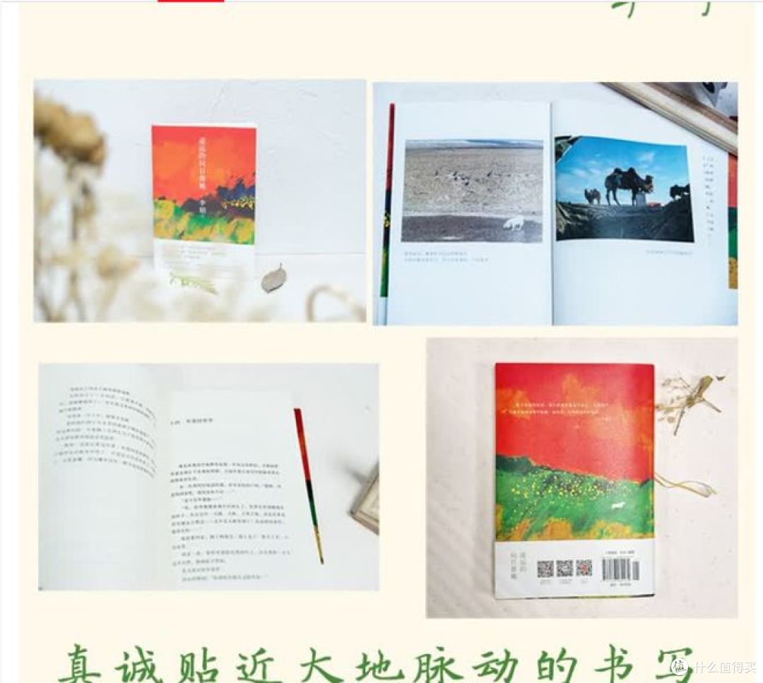 向阳而生——读《遥远的向日葵地》有感
