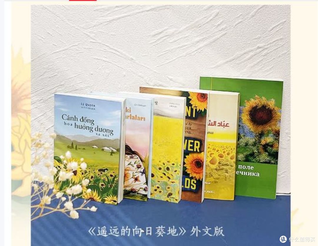 向阳而生——读《遥远的向日葵地》有感