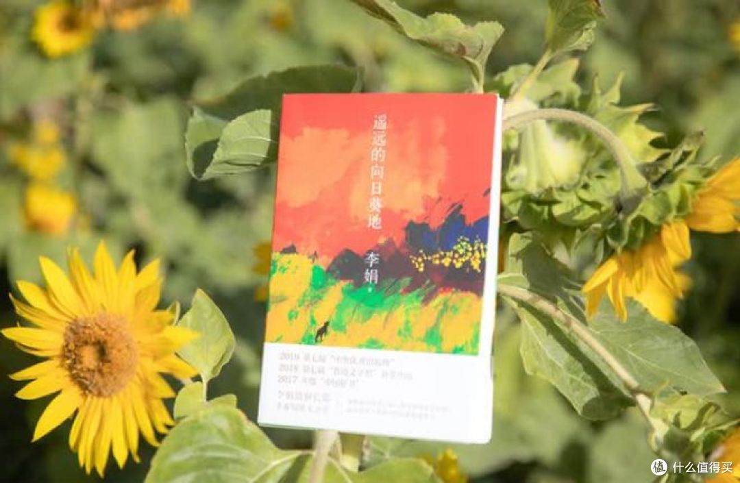 向阳而生——读《遥远的向日葵地》有感