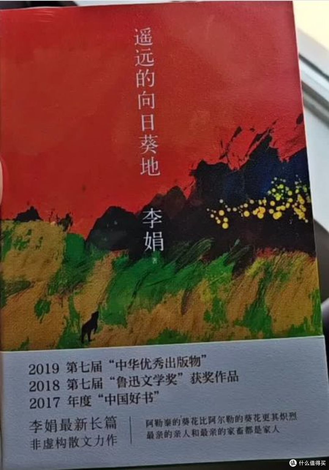 向阳而生——读《遥远的向日葵地》有感