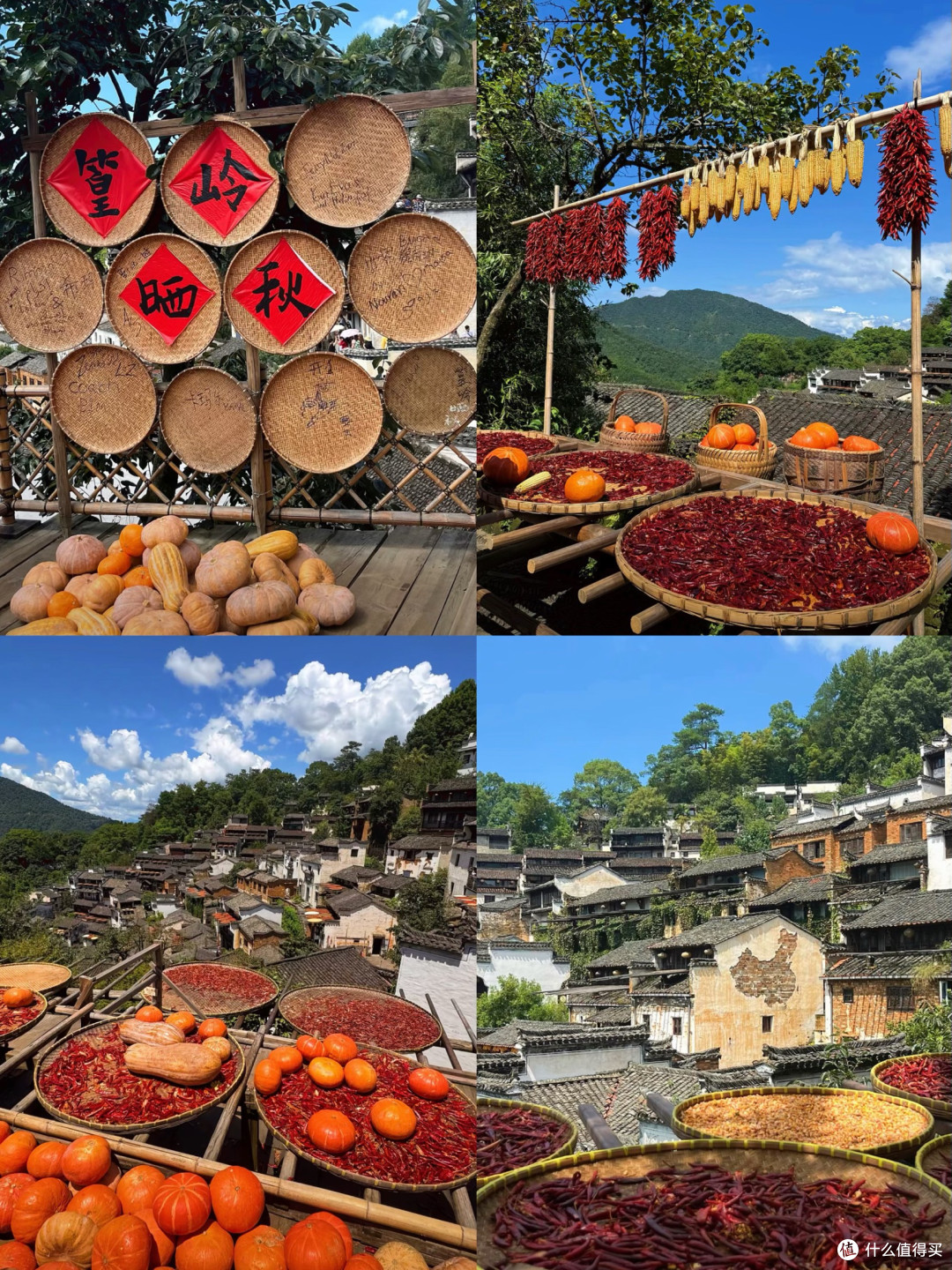 秋天逛古镇，这5个地方把江南的韵味拿捏住了