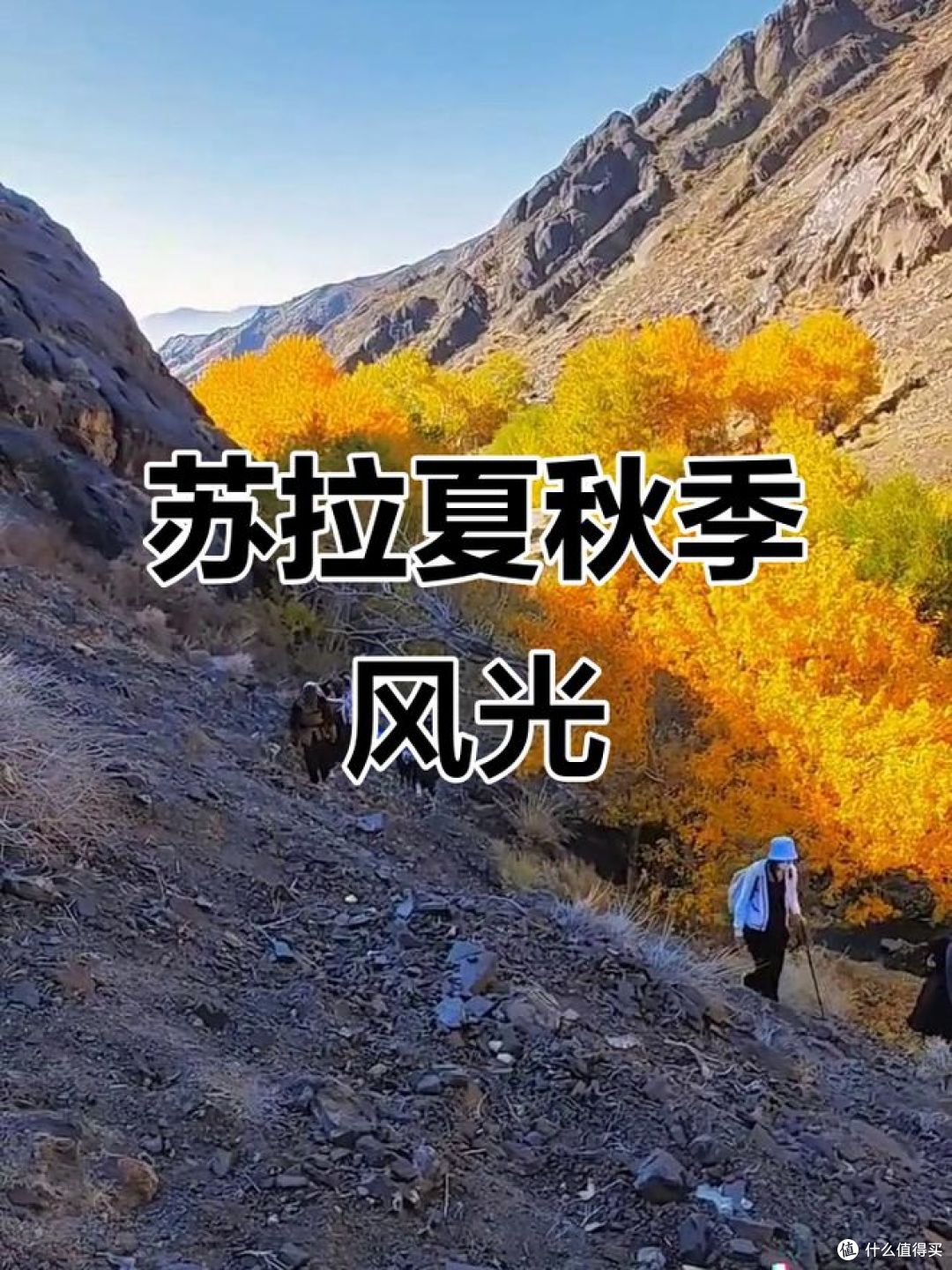 双节去苏拉夏河谷,是踏秋最美的地方!