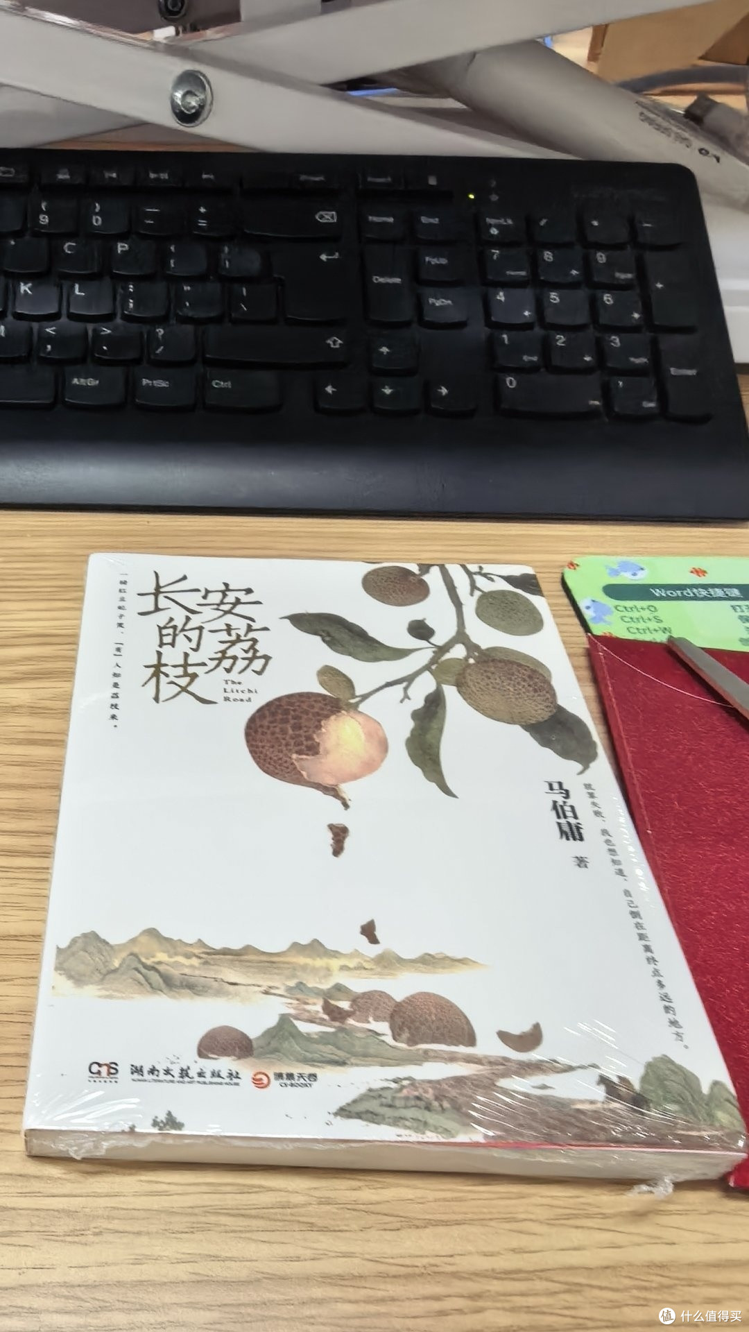 豆瓣9.0！这本被低估的冷门神作，治好了我的假期精神内耗