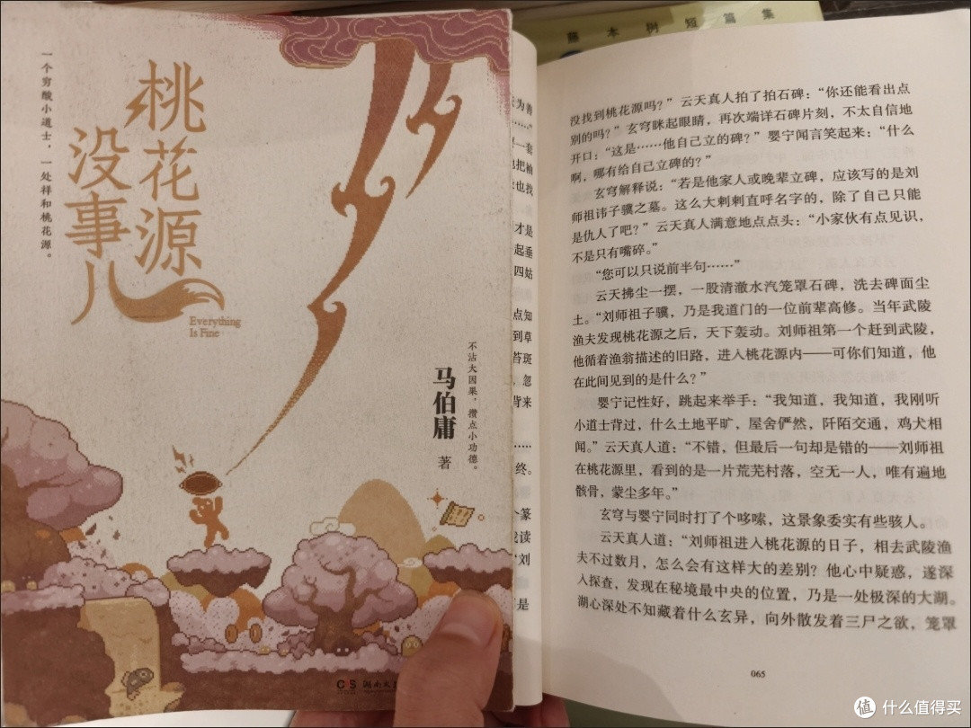 豆瓣9.0！这本被低估的冷门神作，治好了我的假期精神内耗