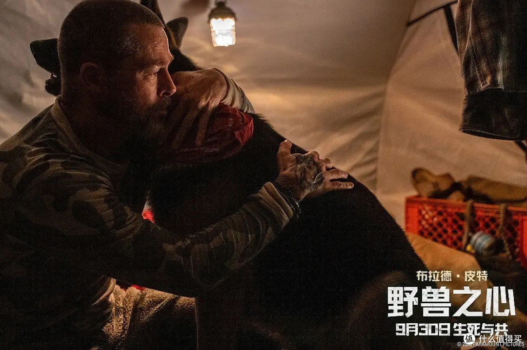 皮特新片：人犬荒野求生治愈双节档