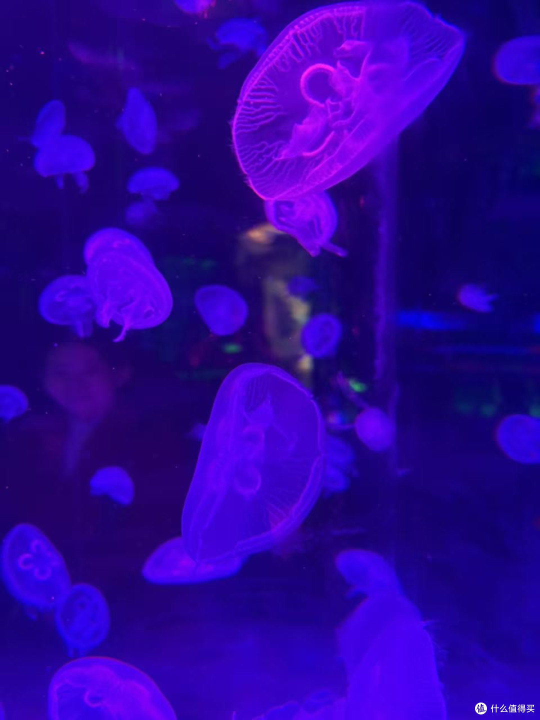 成都极地海洋公园亲子游攻略