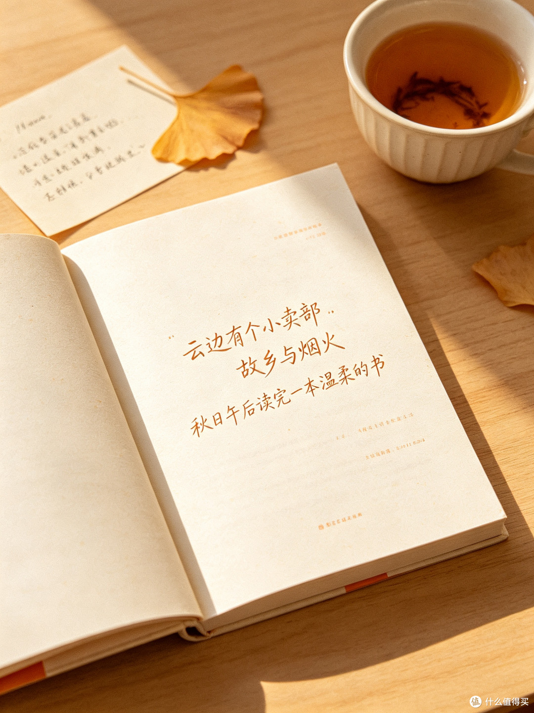 秋日假期阅读|几本适合长假一口气读完的小说