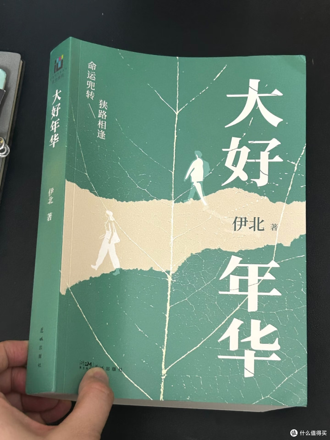 国庆书单|《大好年华》读懂当代年轻人的挣扎与和解