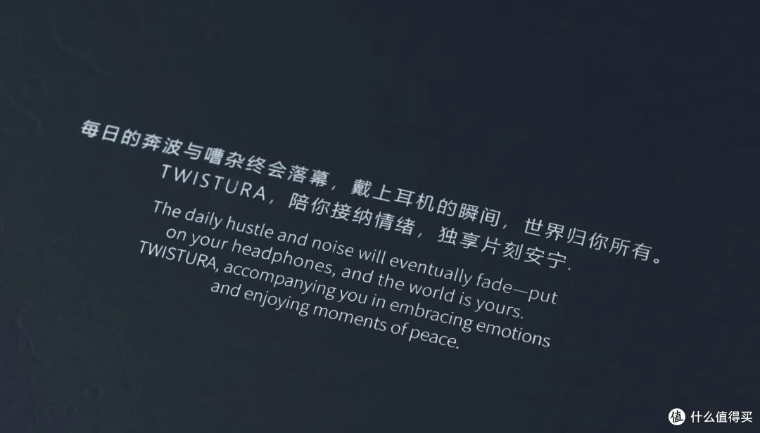 圈味十足的机甲风十动铁入耳｜逆转未来/twistura 欧米伽