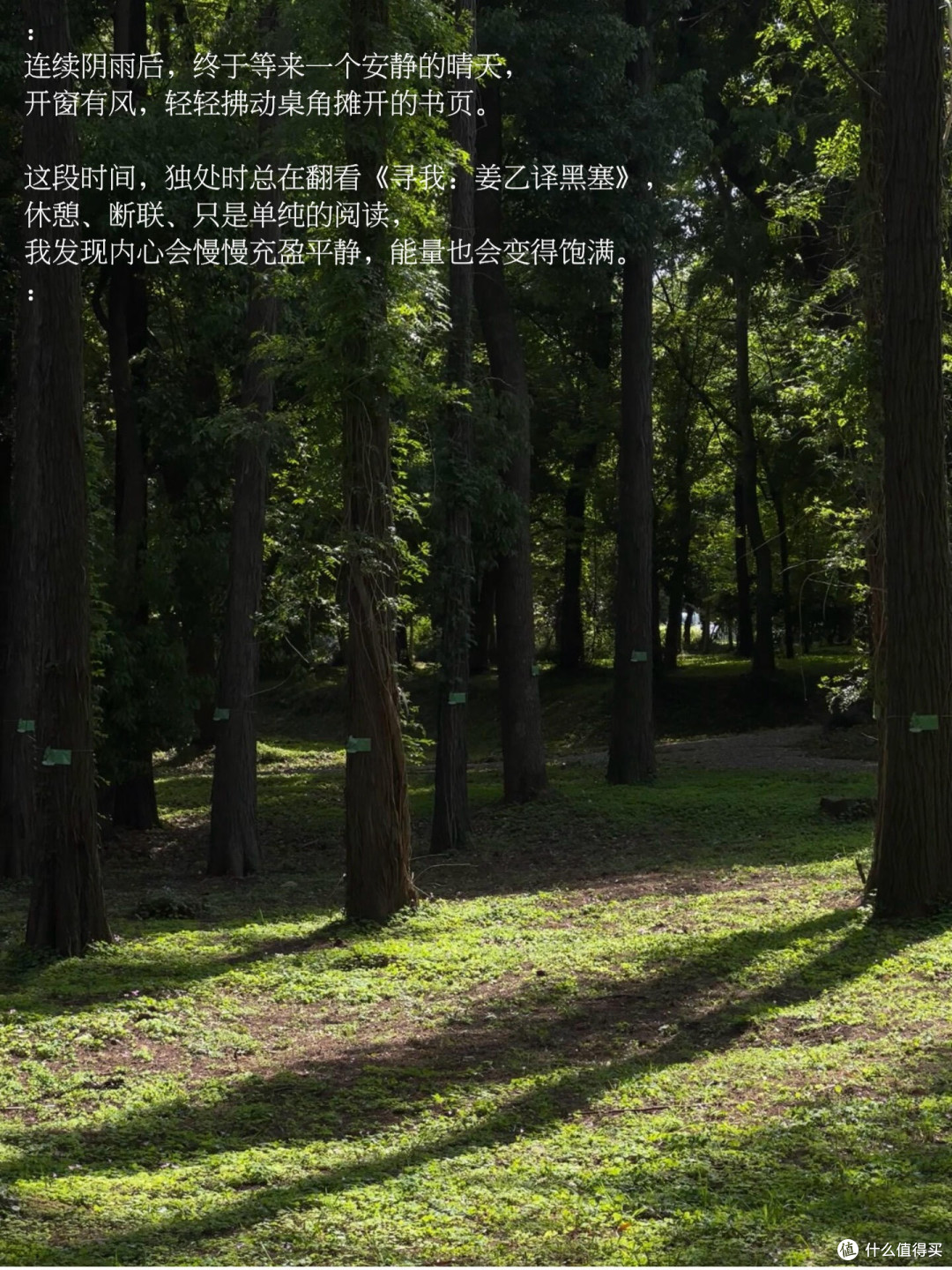 五本心理学读物构建心智自愈体系