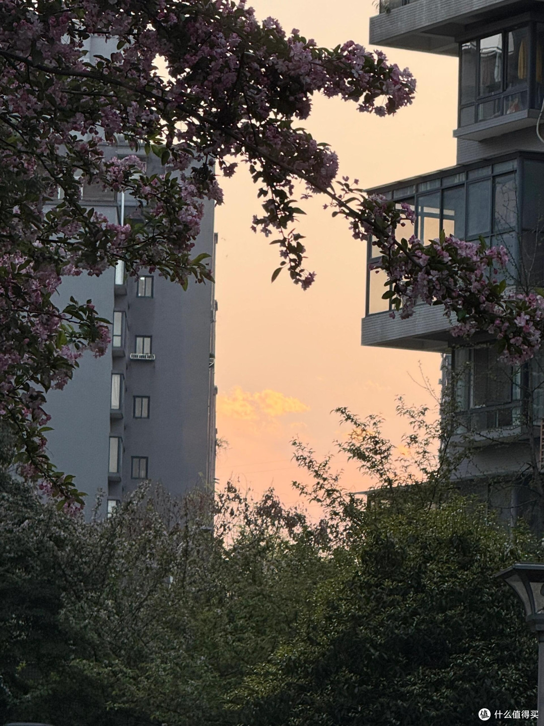 五本心理学书构建心智修复体系
