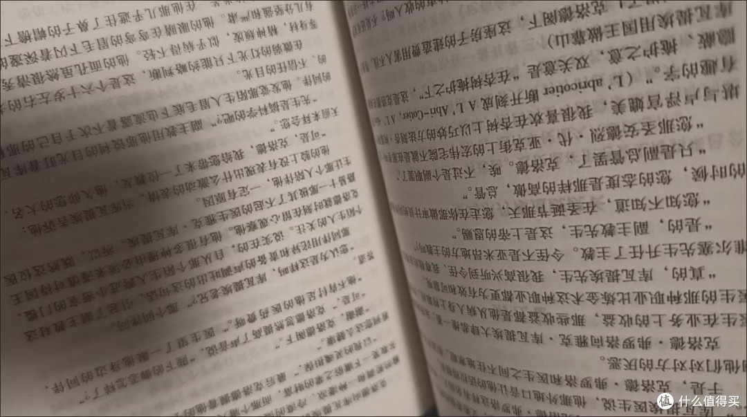 我的国庆节必读好书：《巴黎圣母院》